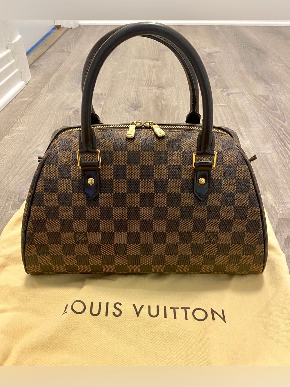 Louis Vuitton Damier Ribera Bag MM